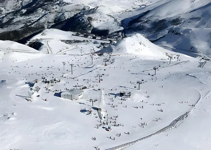 Entreladeras 1 * Busdongo